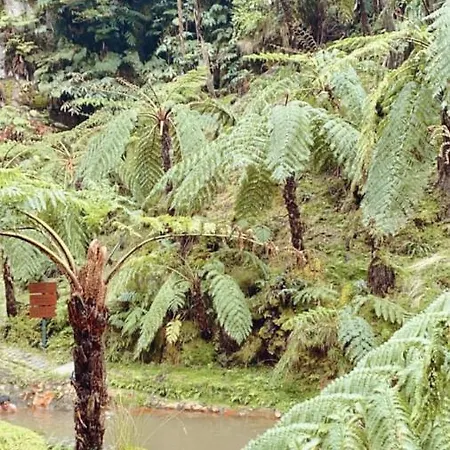 度假居 Toi Et Moi-guests Speek For Us! *