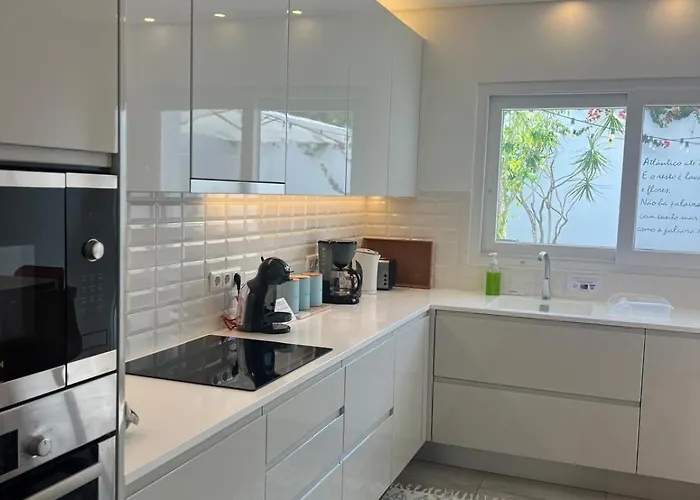 Toi Et Moi-guests Speek For Us!